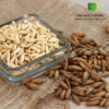 Pine - Native-Foods